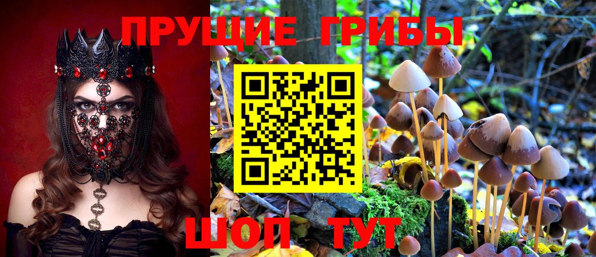 Псилоцибиновые грибы мухоморы Бирск