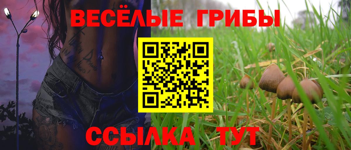 Галлюциногенные грибы Cubensis  Вход с VPN  Бирск 